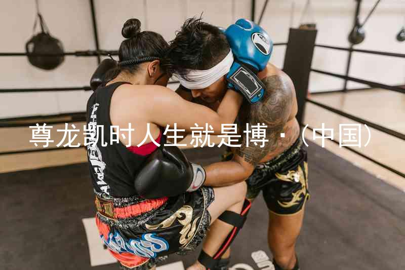 尊龙凯时人生就是博·(中国)