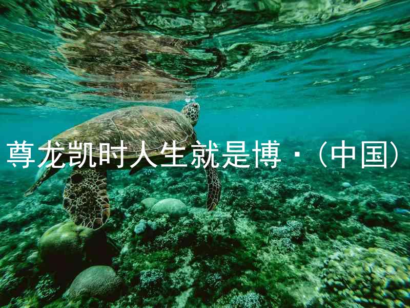 尊龙凯时人生就是博·(中国)