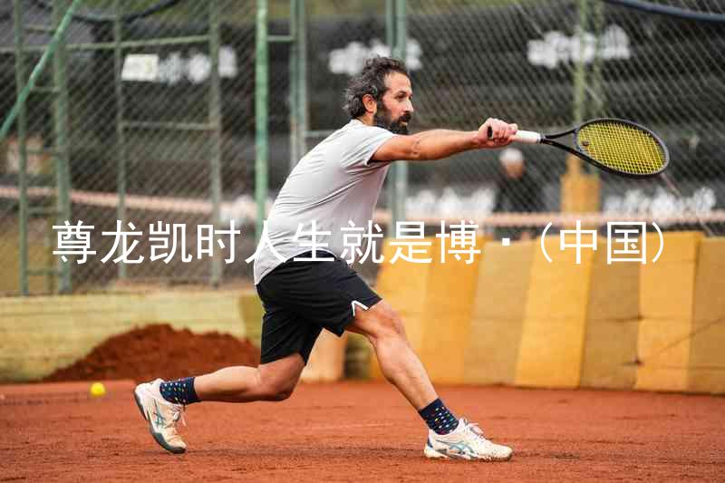 尊龙凯时人生就是博·(中国)